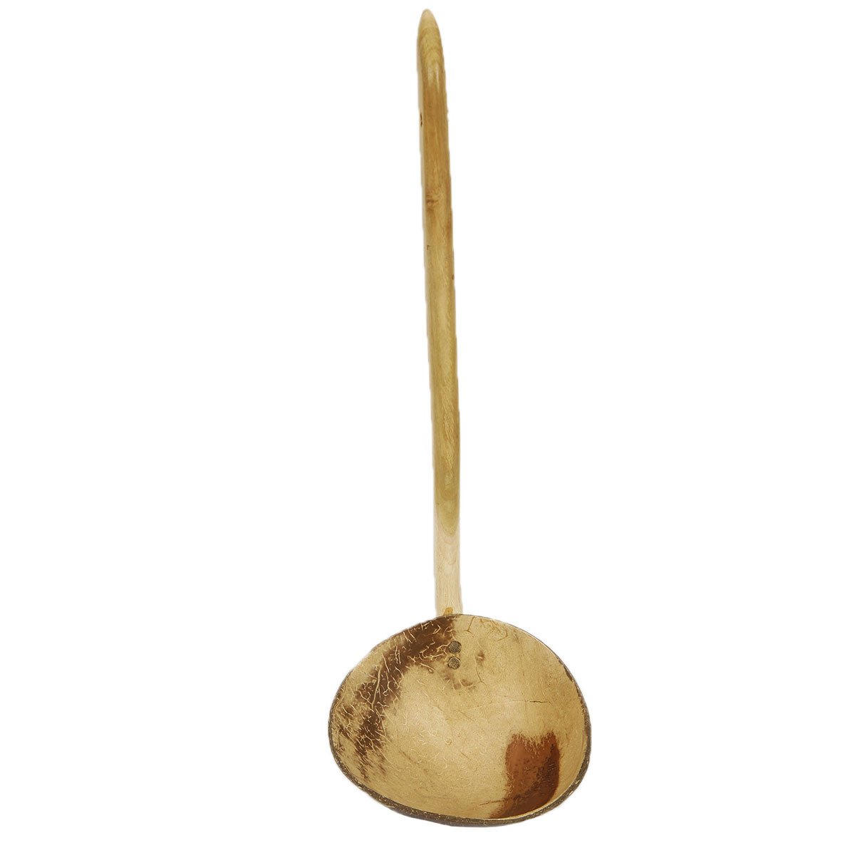 COCONAT KEPÇE 33 CM